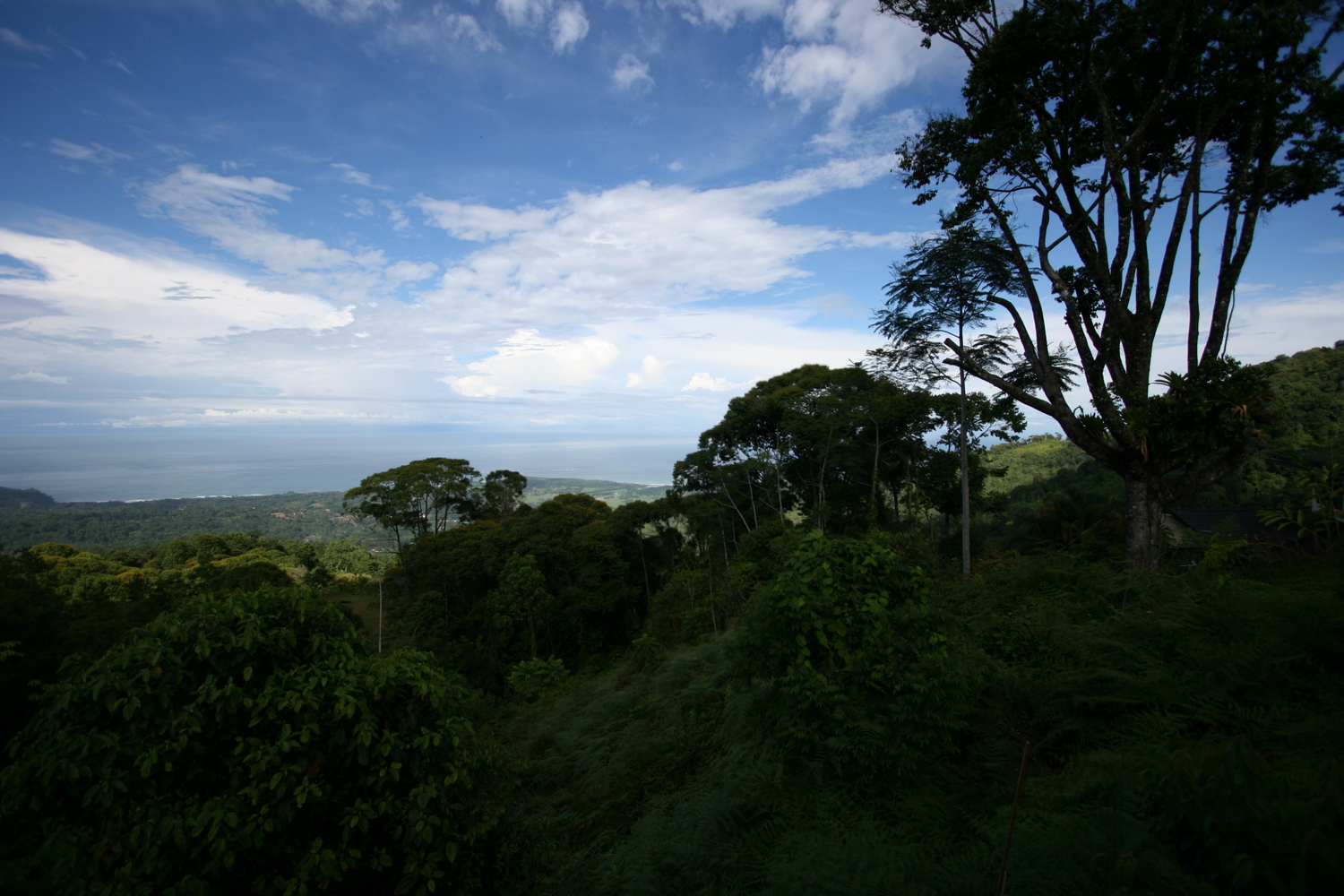 Beautiful beach, spa and mountains – Uvita, Costa Rica